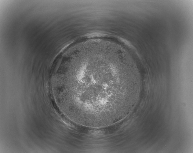 X0000067481217200604101220