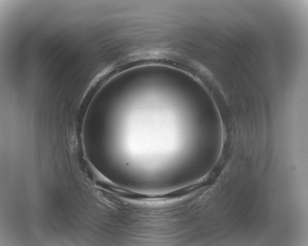 X0000067481218200604101220