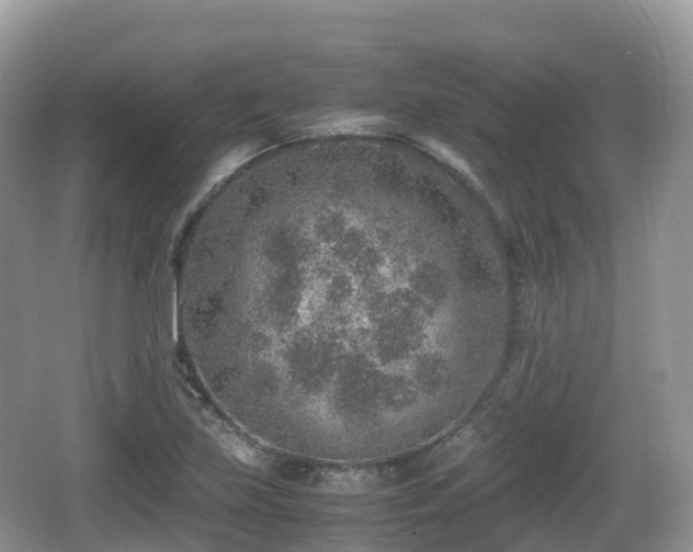 X0000067481219200604101220