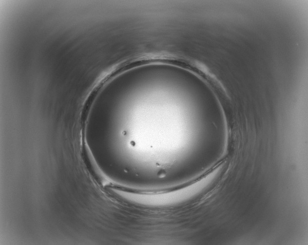 X0000067481221200604101220