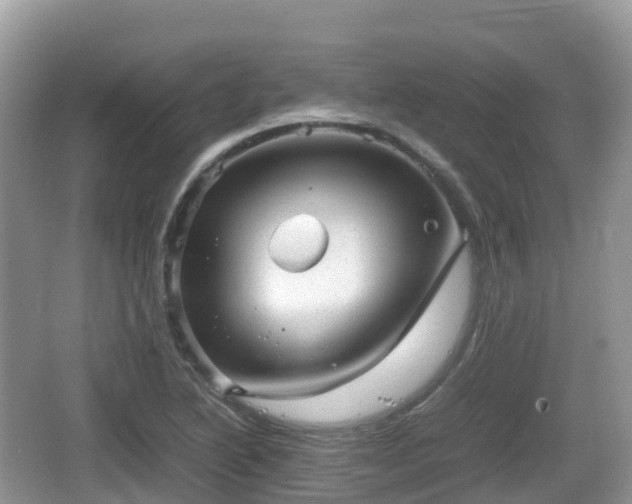 X0000067481222200604101220