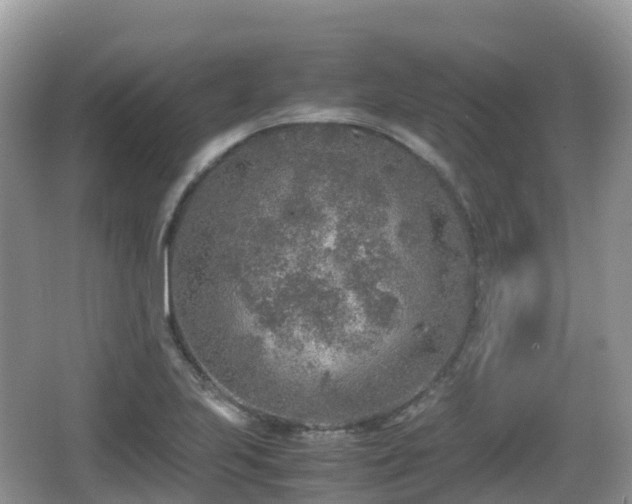 X0000067481223200604101221