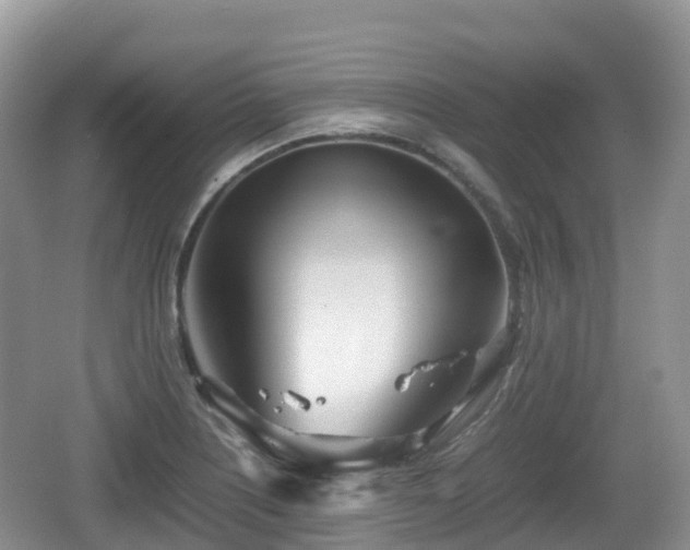 X0000067481226200604101221