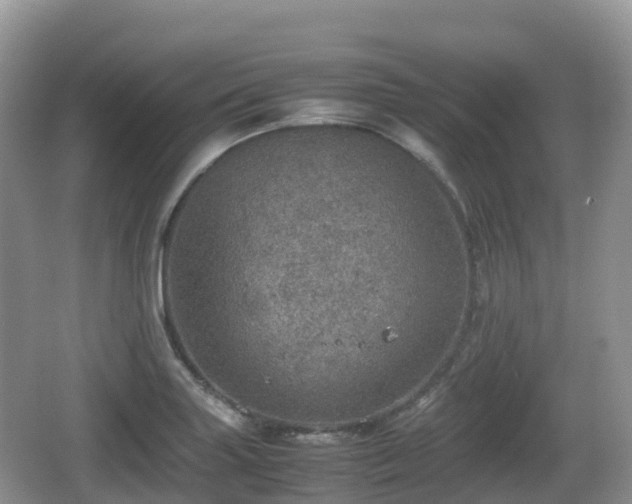 X0000067481227200604101221