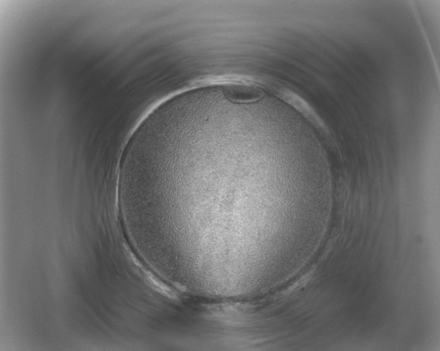 X0000067481228200604101221