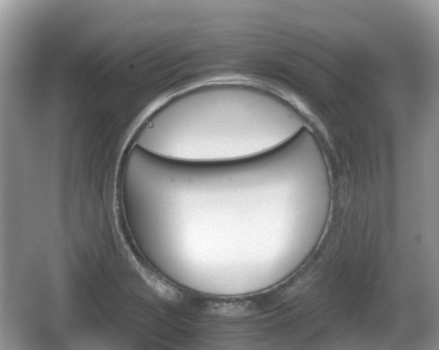 X0000067481229200604101221