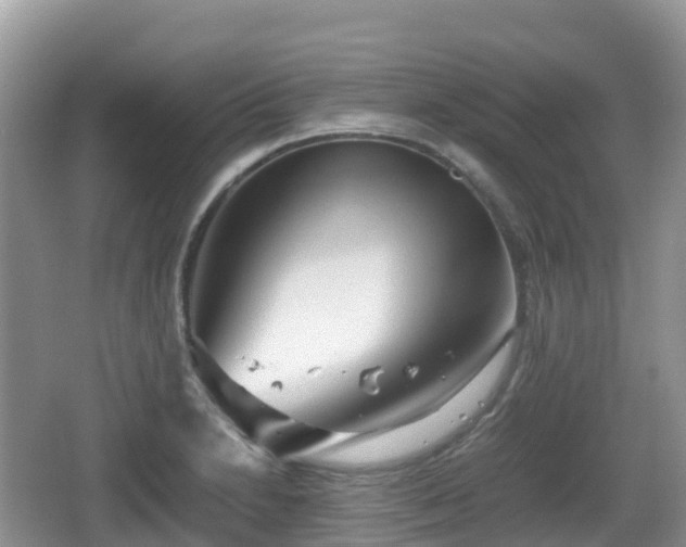 X0000067481230200604101221