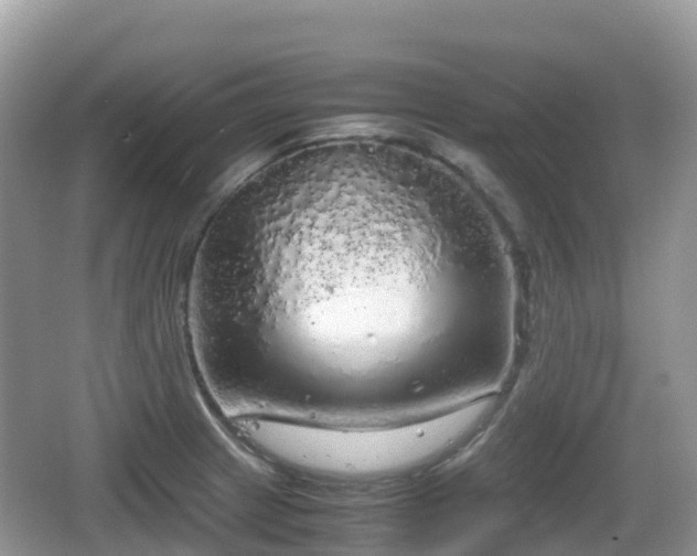 X0000067481233200604101221