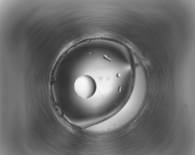 X0000067481234200604101221