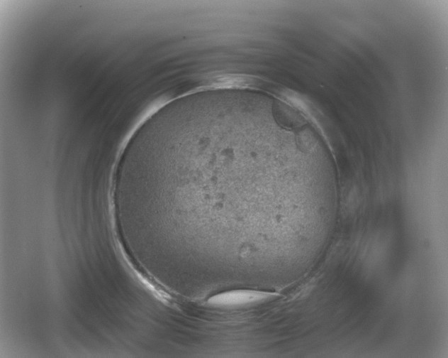 X0000067481235200604101221