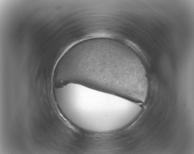 X0000067481236200604101221