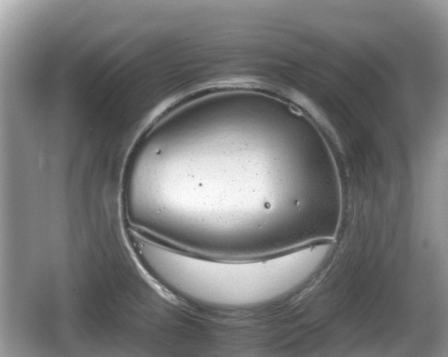 X0000067481237200604101221