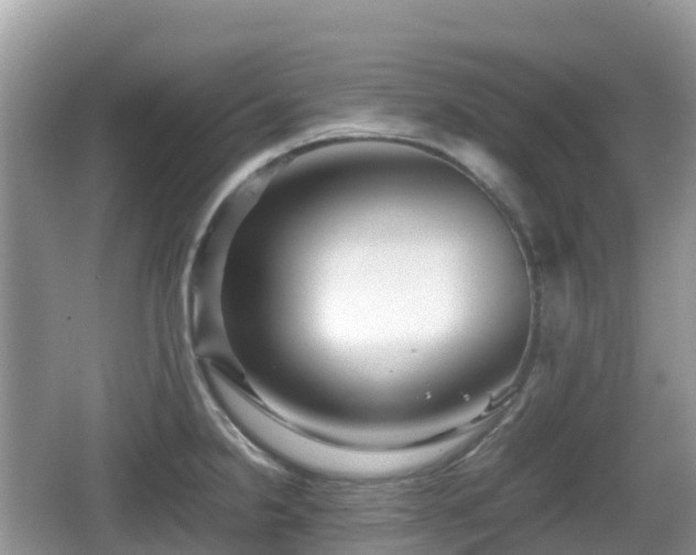 X0000067481238200604101221