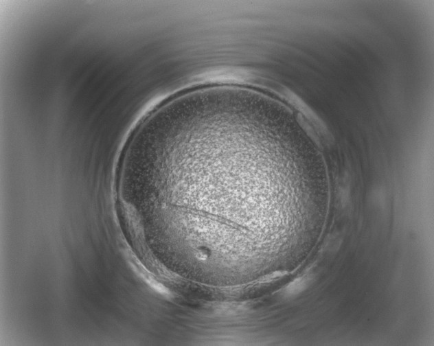 X0000067481240200604101221