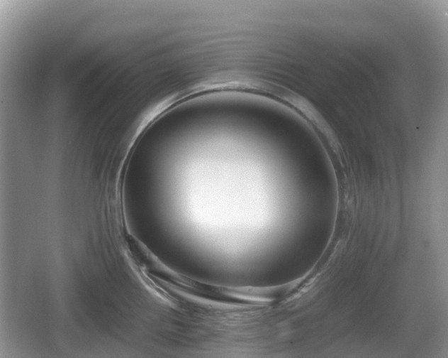 X0000067481242200604101221