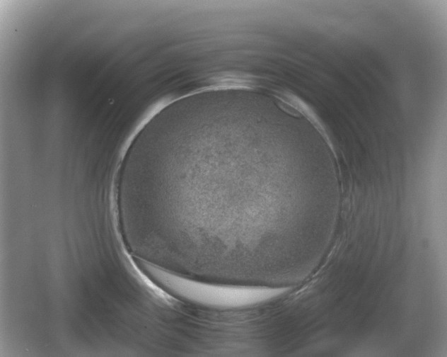 X0000067481243200604101221