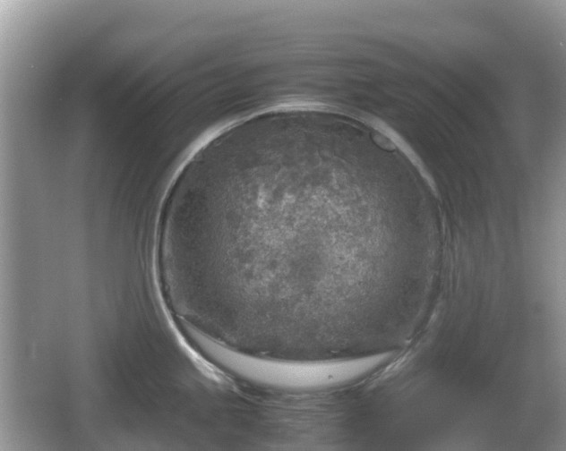 X0000067481245200604101221