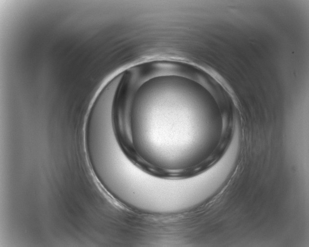 X0000067481246200604101221