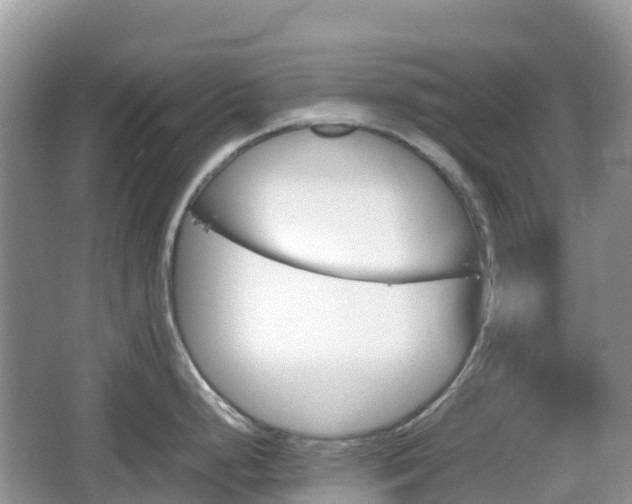 X0000067481248200604101221