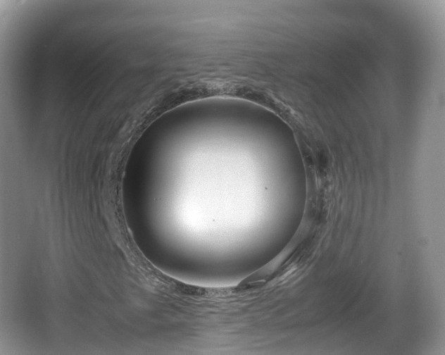 X0000067481249200604101220