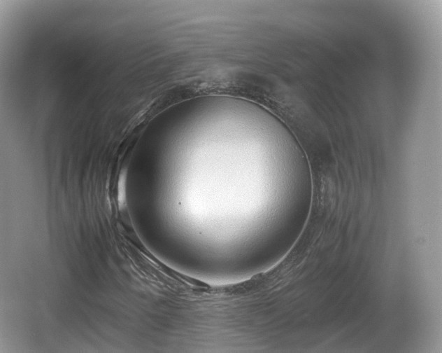 X0000067481250200604101220