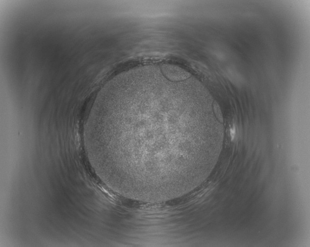 X0000067481252200604101220