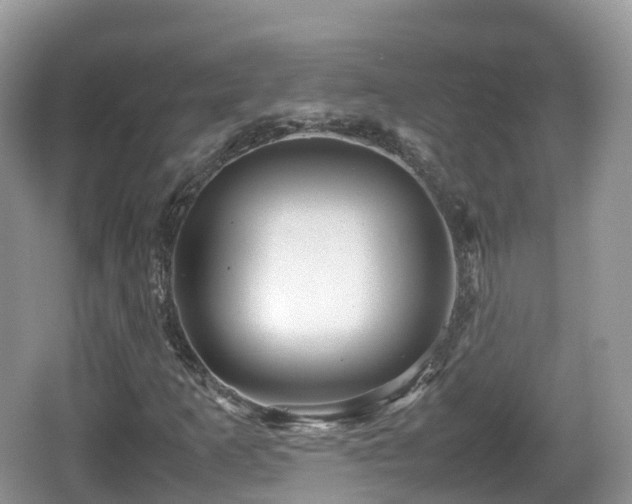 X0000067481253200604101220