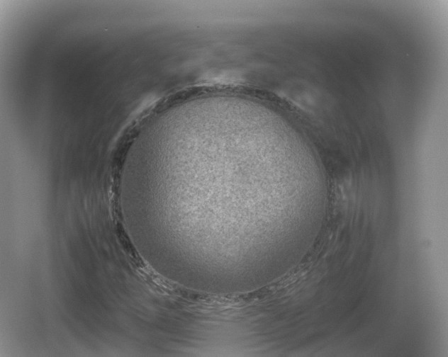 X0000067481254200604101220