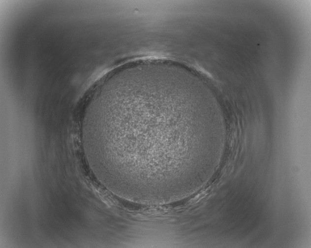 X0000067481255200604101220