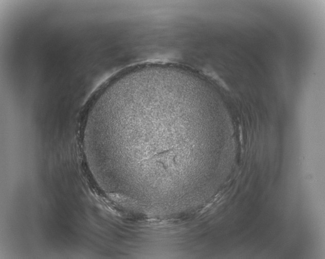 X0000067481256200604101220