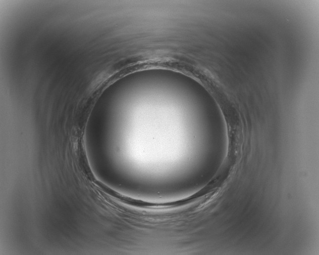 X0000067481257200604101220