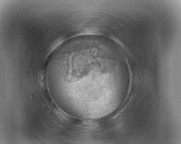 X0000067481258200604101220