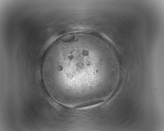 X0000067481259200604101220