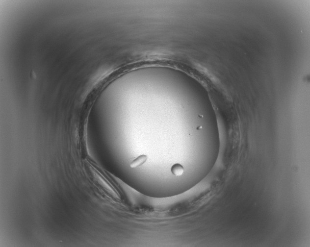 X0000067481261200604101220