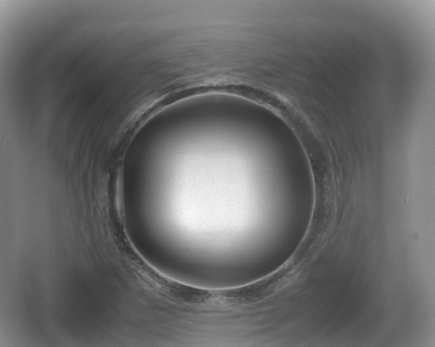 X0000067481265200604101220