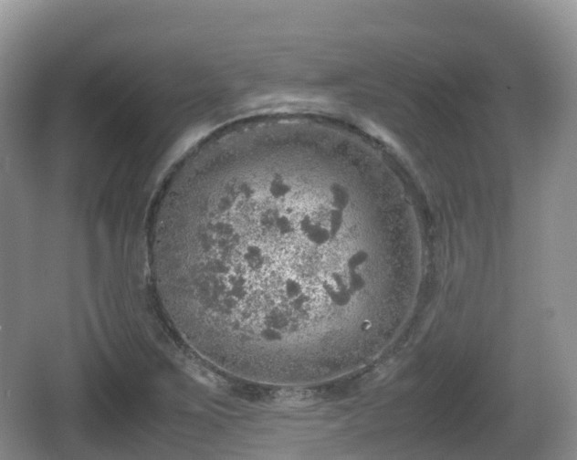 X0000067481267200604101220