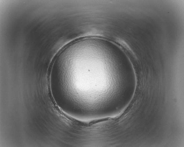 X0000067481268200604101220