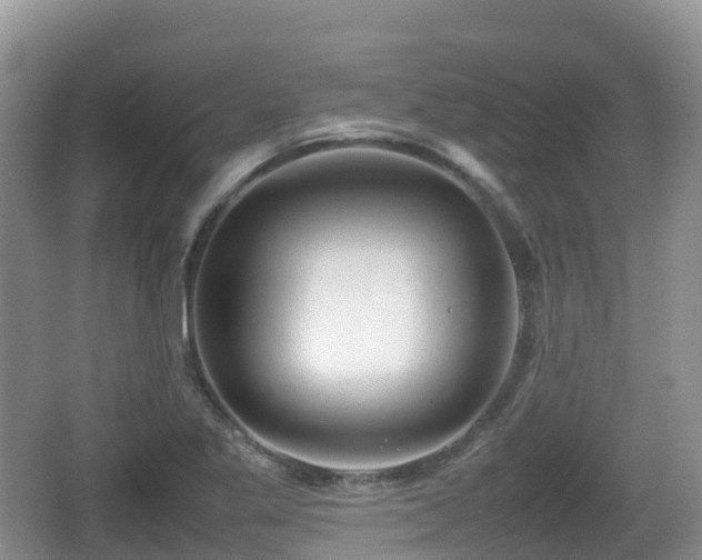 X0000067481269200604101220