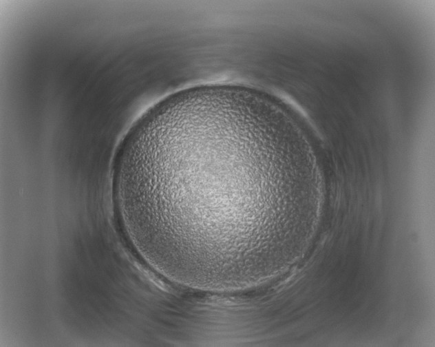 X0000067481270200604101220