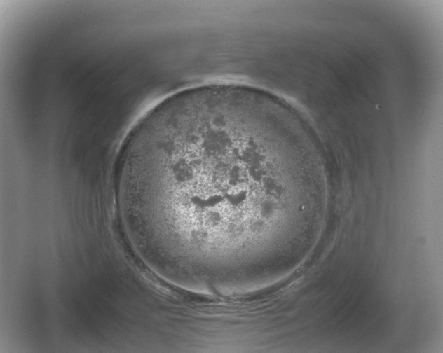 X0000067481271200604101220