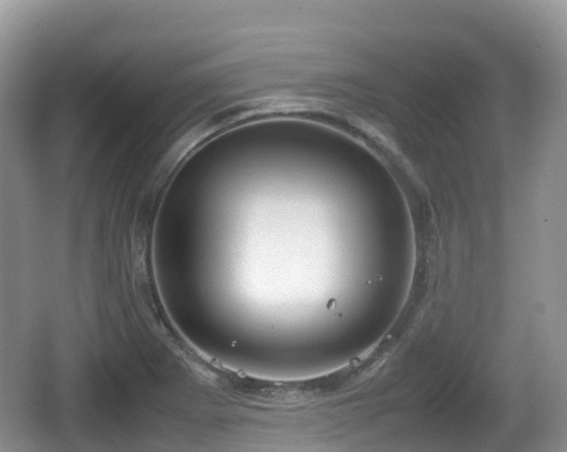 X0000067481273200604101220