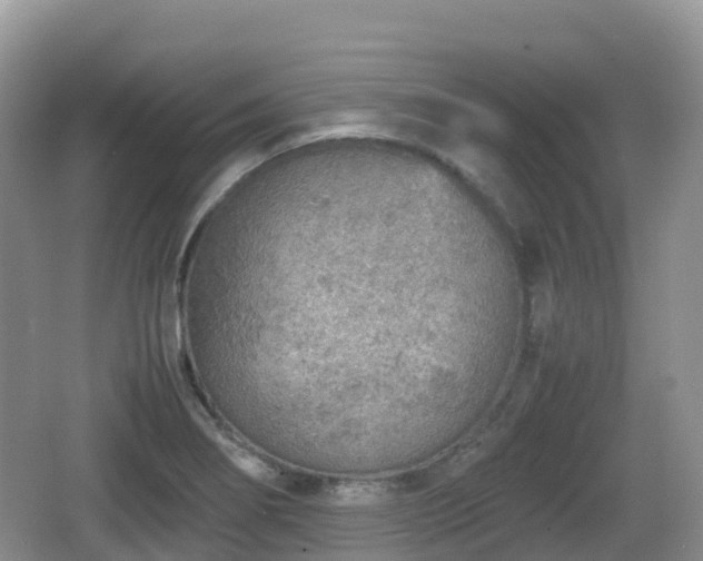 X0000067481274200604101220