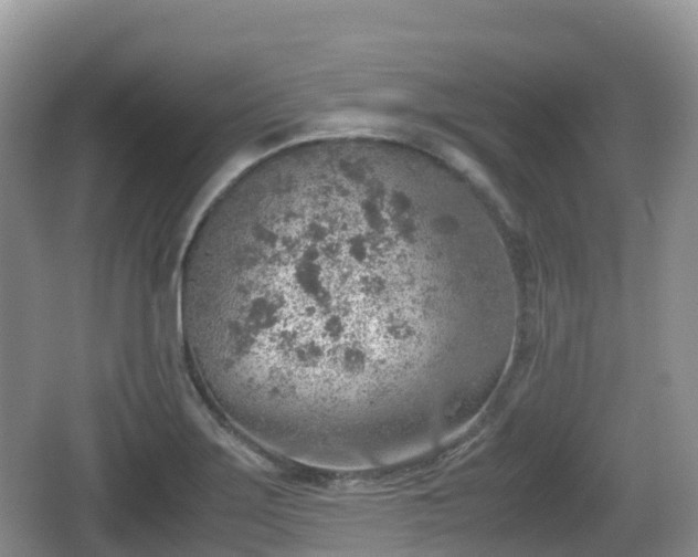 X0000067481275200604101220