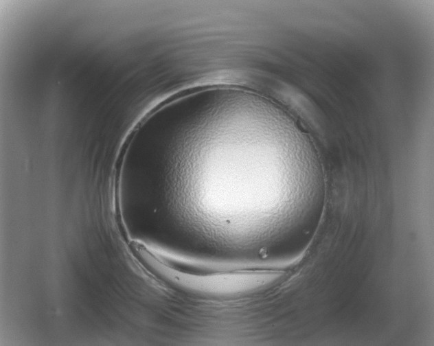 X0000067481276200604101220