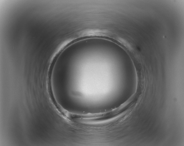 X0000067481277200604101220