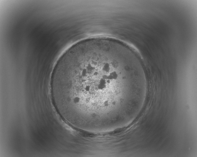 X0000067481279200604101220