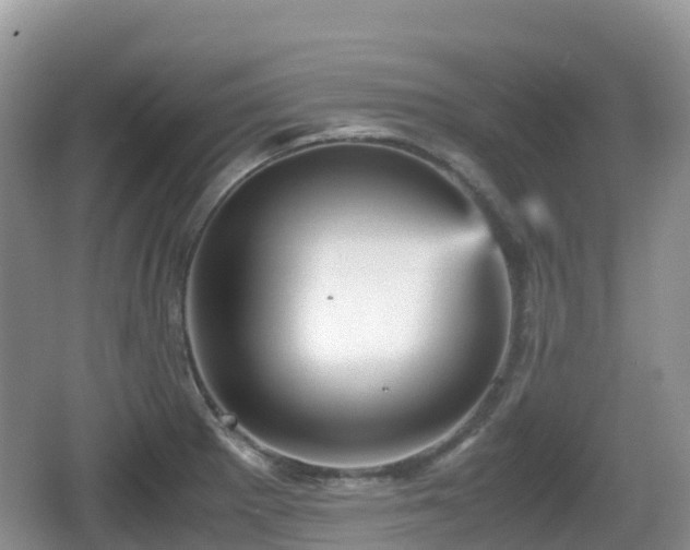 X0000067481281200604101220