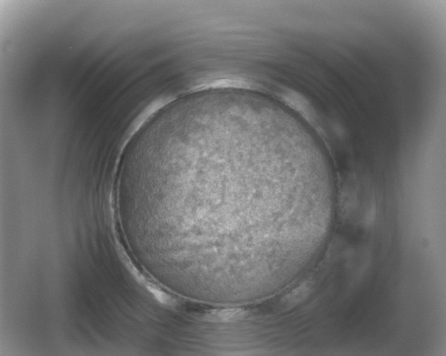 X0000067481282200604101220