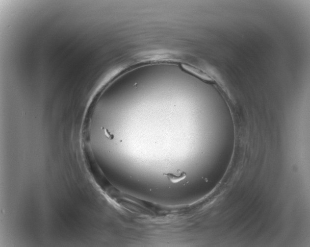 X0000067481285200604101220