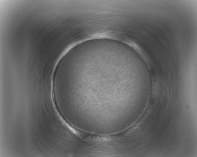 X0000067481286200604101219